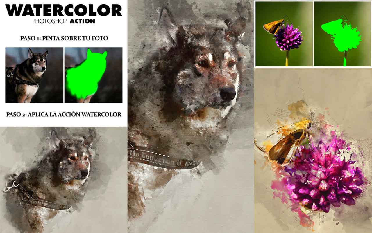 Accio programa para hacer efecto de pintura