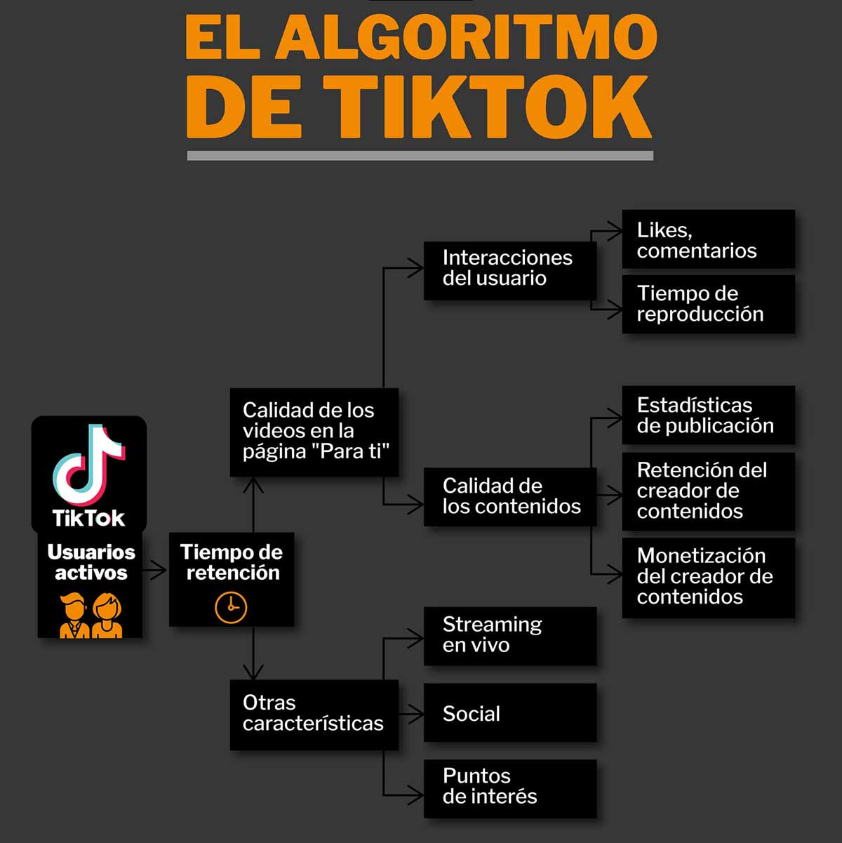 Esquema de cómo funciona el algoritmo de Tik Tok